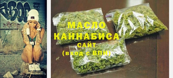 ECSTASY Богородицк