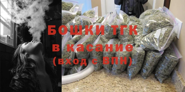 ECSTASY Богородицк