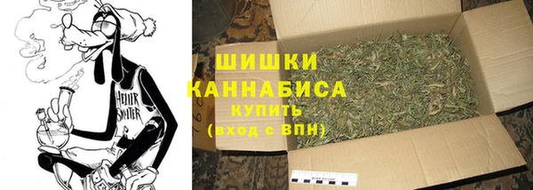 ECSTASY Богородицк