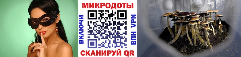Галлюциногенные грибы Magic Shrooms  Купить  Сибай 